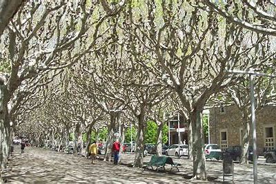 Promenade: EL PASSEIG