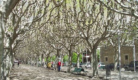 Promenade: EL PASSEIG